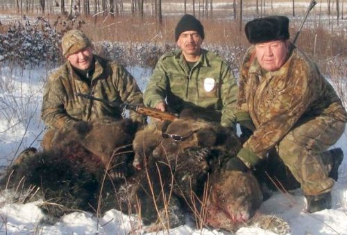 Начальник управления по охране, контролю и регулированию использования объектов животного мира и среды их обитания в Амурской области Иван Ряжских (крайний справа) сфотографировался с убитыми медведицей и тремя мишками.