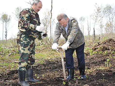 Вр.и.о. губернатора Хабаровского края Вячеслав Шпорт (справа) копает лунку, а министр природных ресурсов края Василий Шихалев подает саженец кедра. Фото Егора Полозова.