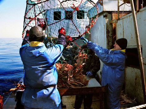 Из девяти субъектов Дальнего Востока в шести рыбное хозяйство занимает одно из ведущих мест