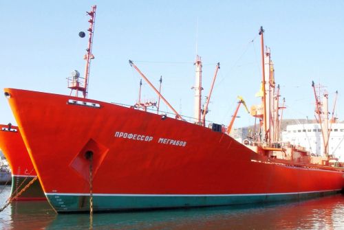 Обновленный рифер «Ланжерон» получил в 2004-м новое имя - «Профессор Меграбов»