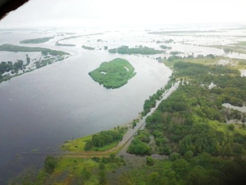 Устье реки Бира