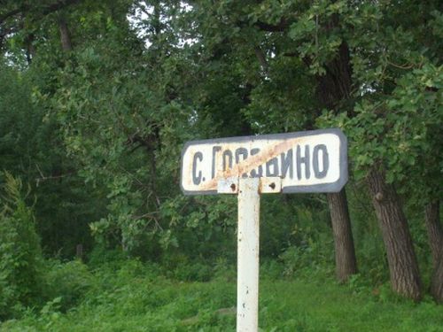 с. Головино топит