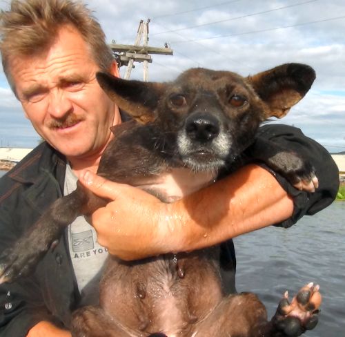 Спасают всех!