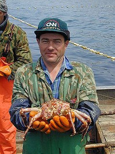 В борьбу предпринимателей за квоты на вылов краба все активнее вовлекаются госорганы. Фото: Александр Маслянко / Коммерсантъ