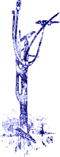 Высшее божество «Эндури». Он один бессмертен, он никогда не снисходит к людям…. Их книги В. Арсеньева «Лесные люди удэхейцы»