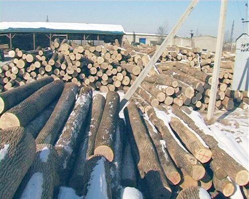 Этот лес готовился в Китай.