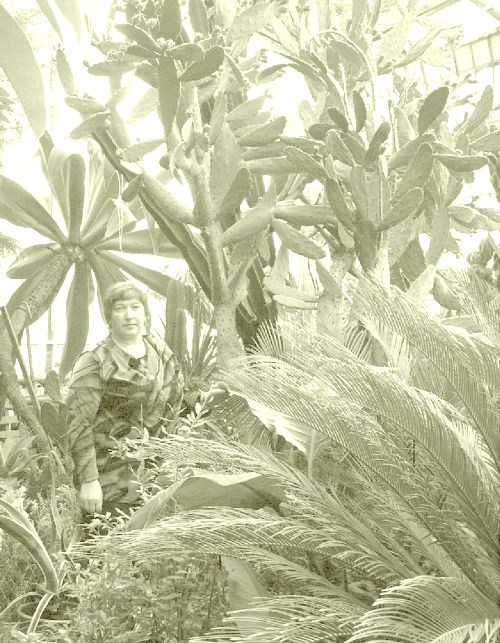 Ольга Петровна Тетеря в оранжерейных «джунглях»