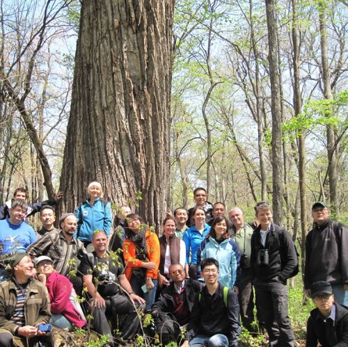Интернациональная команда Всемирного фонда дикой природы (WWF). Национальный парк «Чанбайшань», май 2014. Фото Юрий Дарман