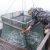 Резонансные поправки в закон о рыболовстве приняты Госдумой во втором и третьем чтении