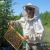 Житель Арангасского наслега Якутии Эллэй Иванов разводит пчел