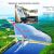 Новые ГЭС на Амуре уже проектируются