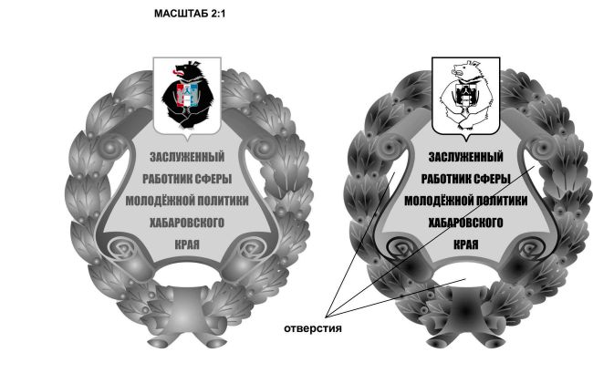 Заслуженный работник сферы молодежной политики Хабаровского края. Таких знаков будет отлито по 24-м профессиям