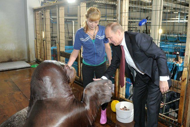 Во время посещения океанариума. Фото пресс-службы Президента России.