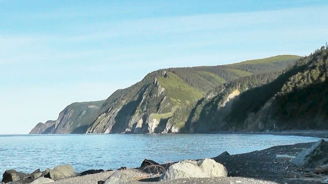 Шантарские острова. Фото Александра Ничикова.