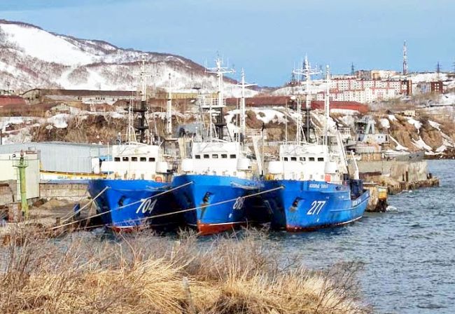 Корабли с некоторых пор красят в бело-синие цвета, поэтому выглядят они нарядно по сравнению с тем, когда были выкрашены в серый, т.н. шаровый цвет, сливающийся с морем
