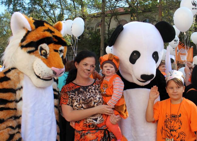 В 2014 году - это уже 15-й по счету, ежегодный День тигра