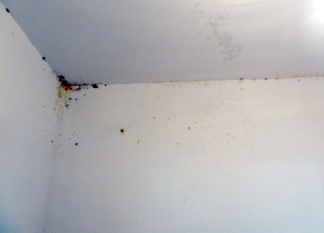 Стены влажные, а зимой они покроются льдом. Плесень по стенам идет. В подполье - вода. В стенах дырки наделали, а потом за их ненадобностью кусочками пенопласта забили