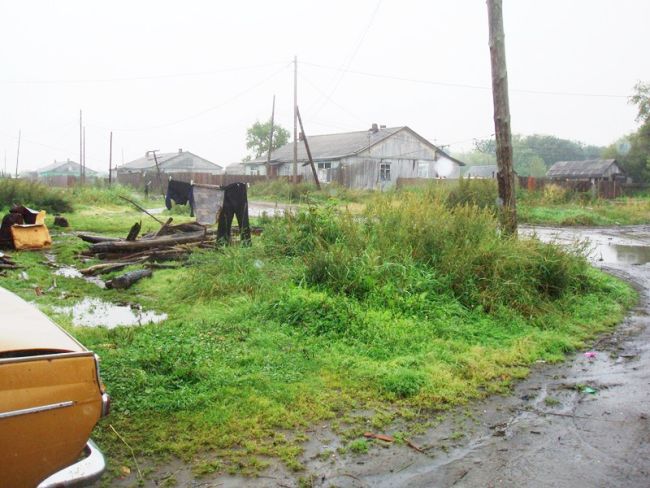 Типичная картина для острова Южный