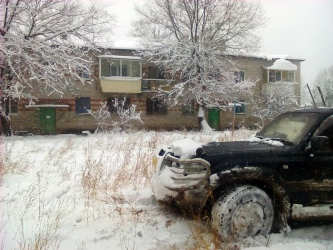 На Большом Уссурийском острове еле теплится жизнь