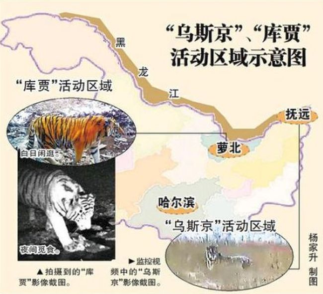 Как в Китай пришел Кузя