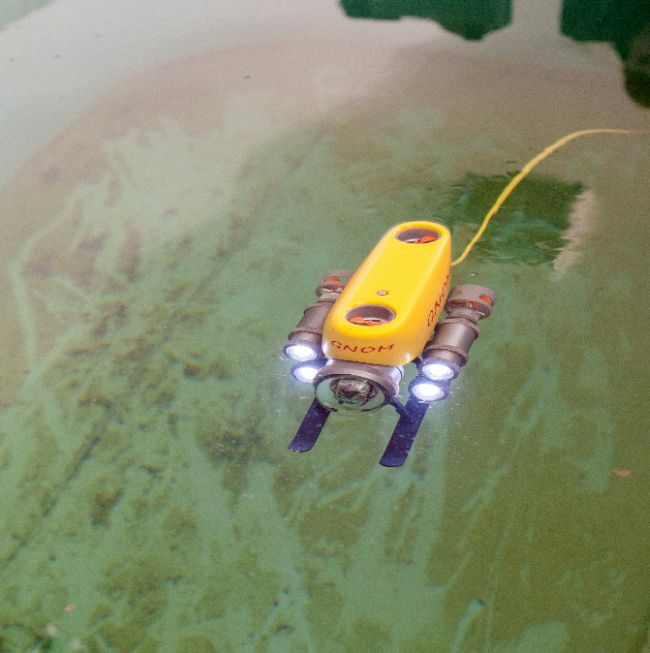 Есть даже плавающие роботы