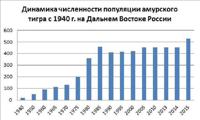 Динамика численности амурских тигров