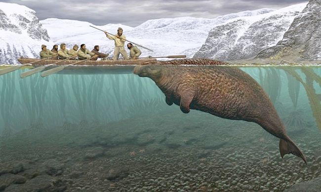 Морская корова. Рис.