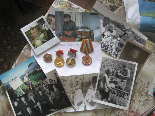 Ольга Мигина посвятила себя науке (нажмите, чтобы увеличить)