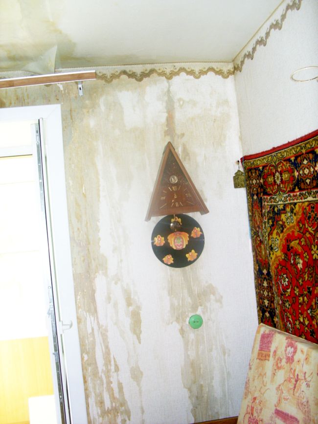 Вот что стало в квартире Любови Сусловой после зимы