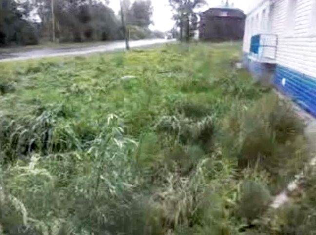 Эту сторона с дороги - вода, трава, лягушки. Бикин, ул. Бонивура, 110, дом для переселенцев граждан из аварийного жилья