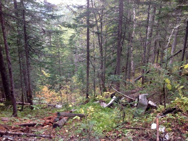 Общая картина места катастрофы (нажмите, чтобы увеличить)