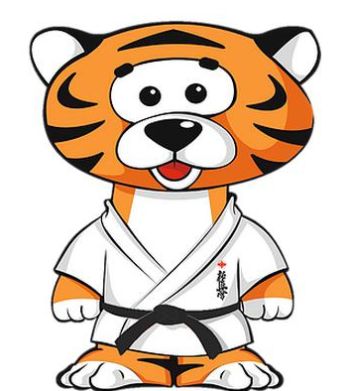 Такой тигренок - мягкая игрушка - талисман Чемпионата мира по киокусинкай стоит 400 рублей. За тысячу игрушек отдали 400 тыс. рублей