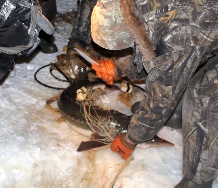 Спасательная операция пограничников