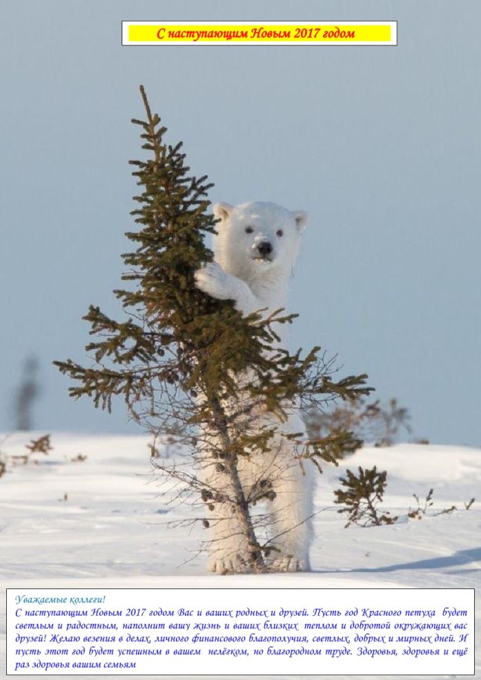 От Бориса Сухинина, Южно-Сахалинск