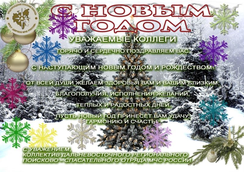 Пресс-служба Дальневосточного регионального поисково-спасательного отряда МЧС России