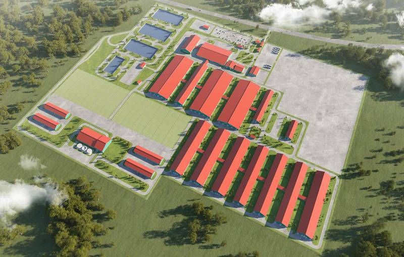 Проект мегафермы