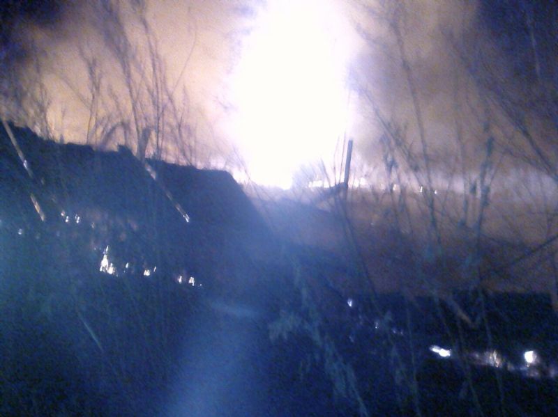 Большой Уссурийский остров в огне. Апрель 2017 г.