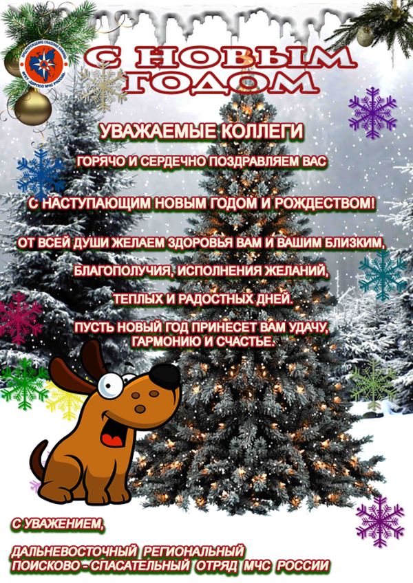 ДВРПСО МЧС, г. Хабаровск