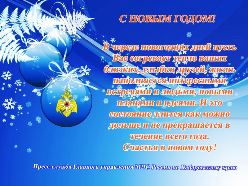 Пресс-служба ГУ МЧС России по Хабаровскому краю