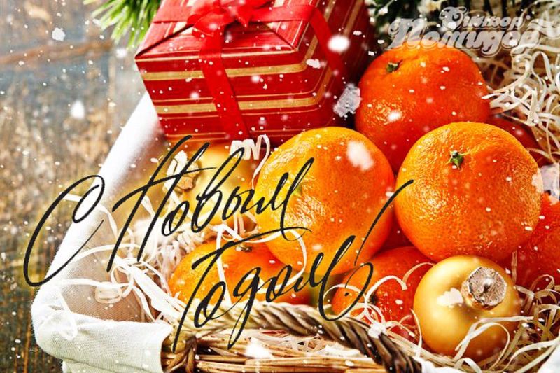 «Синьор Помидор»