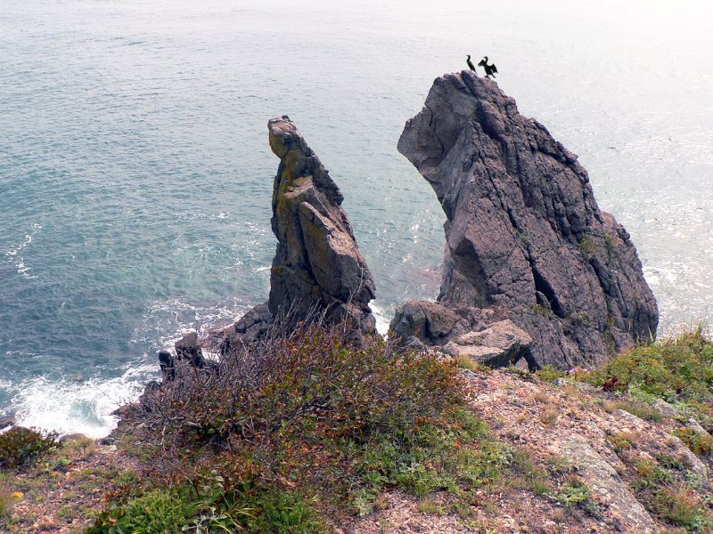 Солнце, тишина, всюду птицы, таких даже не видел