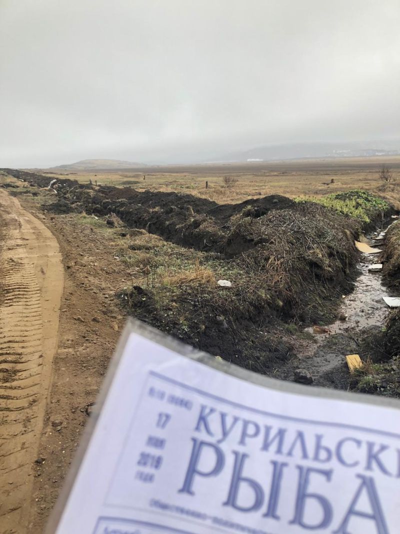 Делал ли заказчик какой-либо контроль или экспертизу при приемке и испытании дороги? И где можно посмотреть на эти документы?