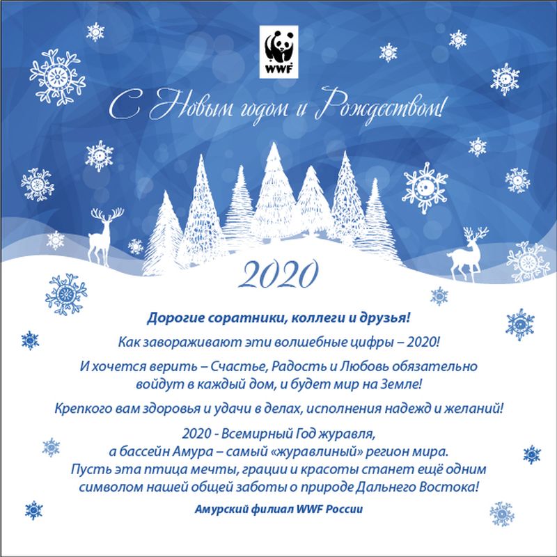 Всемирный фонд дикой природы (WWF), Амурский филиал
