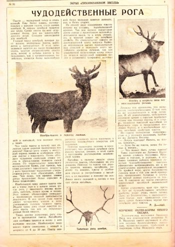 Нажмите, чтобы увеличить