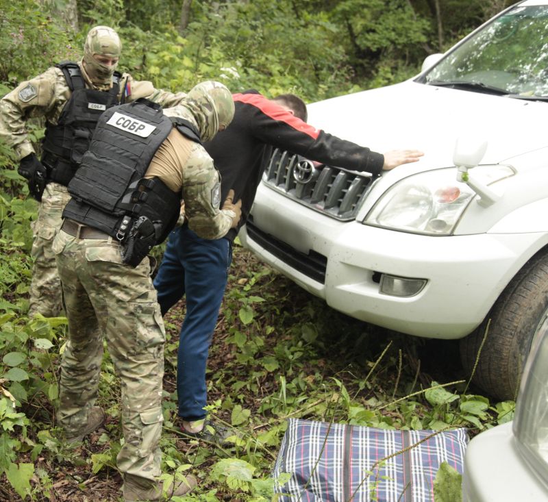 Контрабанду 711 корней женьшеня пресекли сотрудники Дальневосточной таможни