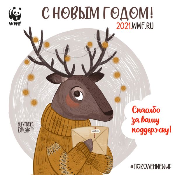 Дорогие друзья! Амурский филиал WWF России поздравляет вас с наступающим Новым Годом! Спасибо, что вы с нами! Спасибо за информационную поддержку! Только вместе мы можем сохранить природу бассейна Амура! Желаю море счастья, парусов удачи, крепкого здоровья, творческих вершин и исполнения желаний! 2021 будет лучше! Елена Старостина