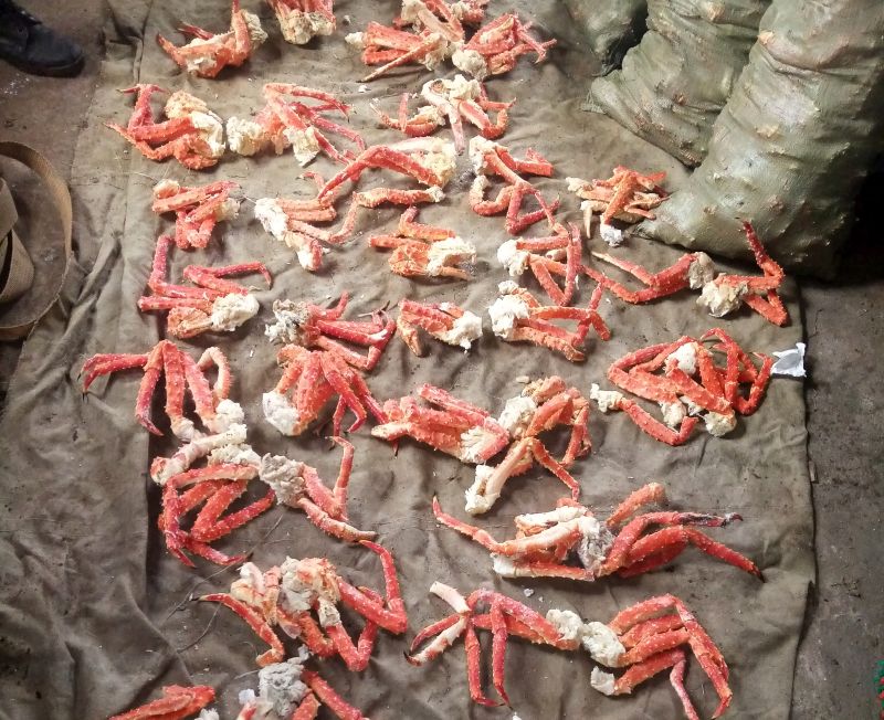 В Хабаровском крае пограничники задержали крабового браконьера