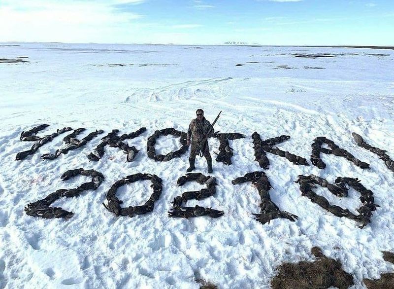 На Чукотке изучают фото охотника из-за слов, выложенных трофеями