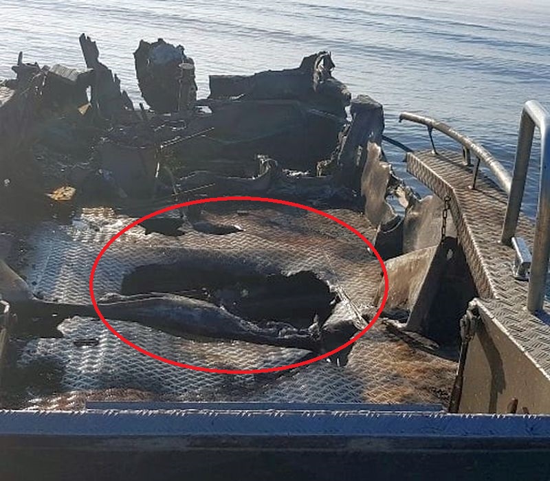 Что это за пробоины в катере?