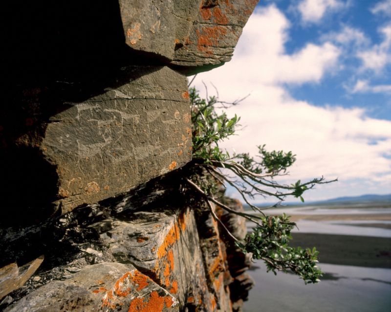 Значительная часть наскальных рисунков Пегтымеля расположена на высоте 20-30 метров над  уровнем реки.